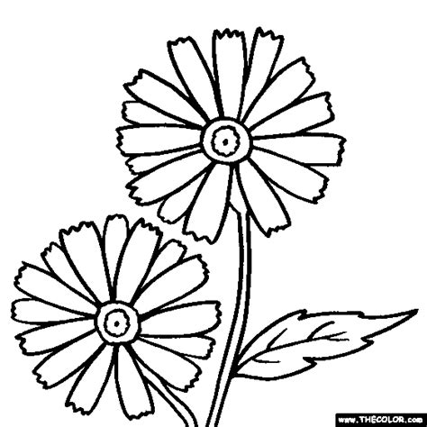 Daisy Flower Coloring Page Flower Coloring Page