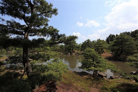 Fotos Gratis Paisaje Rbol Bosque Desierto Lago R O Corriente