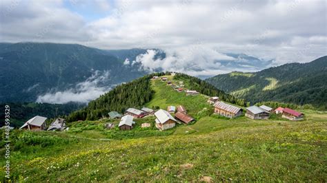 Pokut Plateau In The Black Sea Karadeniz Region In Rize Turkey