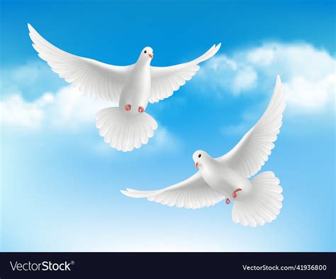 Bird In Clouds Flying White Pigeons In Blue Sky Vector Image