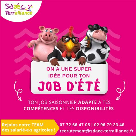 Recrutement job dété 2023