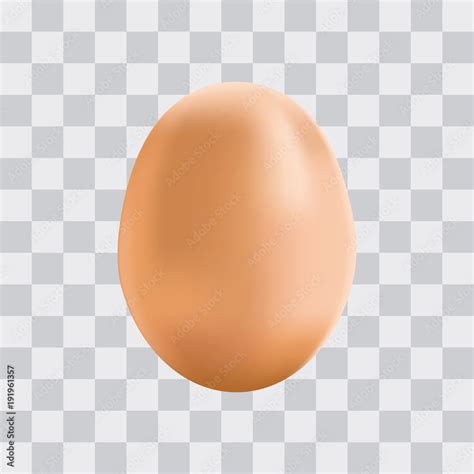 3D realistic Egg with Transparent Background vector illustration Stock Vector | Adobe Stock