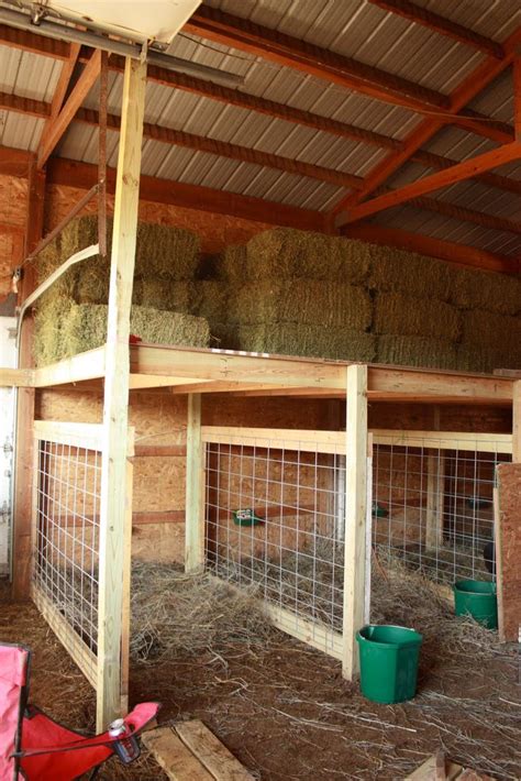 9 Best Images About Nigerian Dwarf Goats On Pinterest The Goat Shelters And Hay Feeder