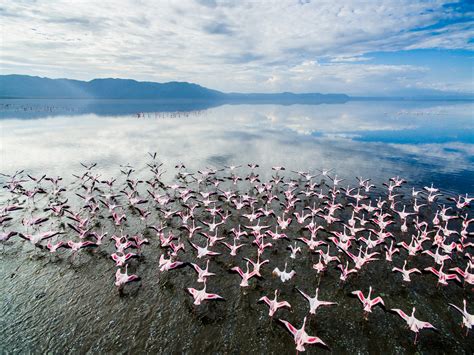 Lake Manyara National Park | Adumu Safaris