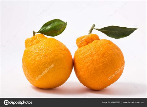 Oranges Jeju Island South Korea Hanrabong — Stock Photo © mujijoa79 ...