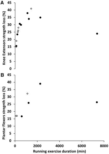 Strength losses on a knee extensors and b plantar flexors muscles from... | Download Scientific ...