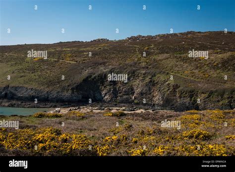 St Davids Head Hi Res Stock Photography And Images Alamy