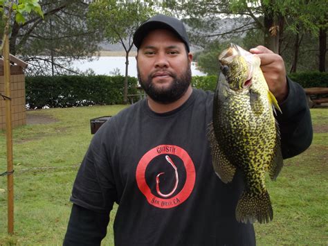 Photo Gallery • Tasi Tautala New Lake Record Crappie On A Mi