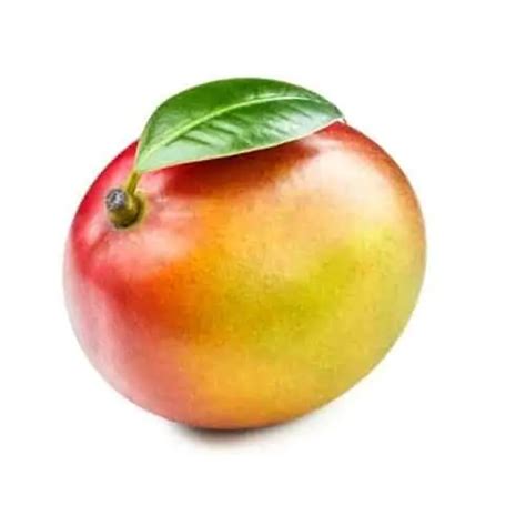 Mango - Kuechenfertiges Obst & Gemüse