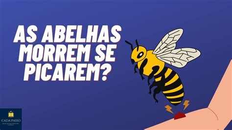 Por que as abelhas morrem depois de picar você CadaPasso Ensino