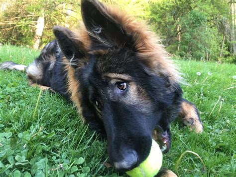 Bluefield Daily Telegraph Official Page - Home