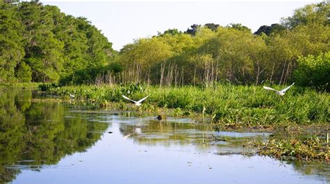 Welcome to Florida Paddle Notes - Historic Cross Creek