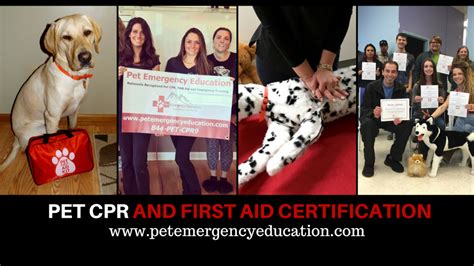 PetCPR+- Canine and Feline CPR and First Aid – Pet Emergency Education