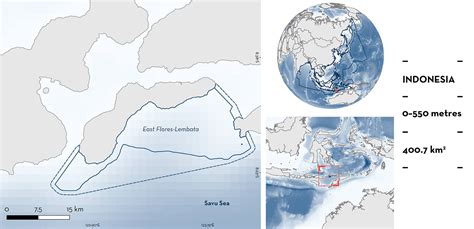 East Flores Lembata Isra Important Shark Ray Areas