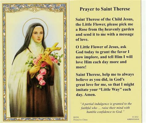 Facts About St Therese The Little Flower Best Flower Site