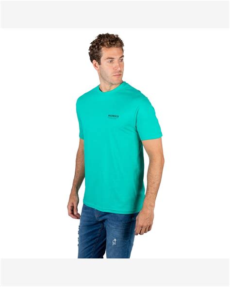 Riachuelo Camiseta Básica Nicoboco Kuzko Verde 14833