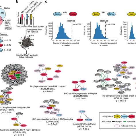 An Isogenic Cell Line Screen Validates Kras Synthetic Lethal Network