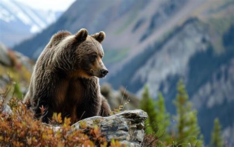 Imposing Images - Free Download on Freepik 