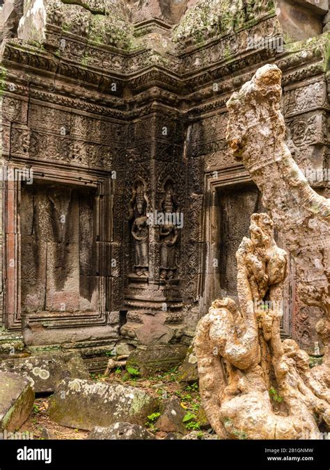 Image Of Ta Prohm Temple The Photogenic Temple At Angkor Wat