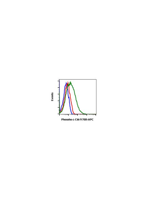 Phospho C Cbl Y700 Recombinant MAb Abwiz Bio