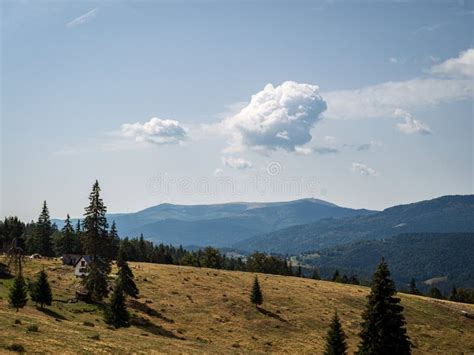 Landscape View At Padis Bihor Mountains Apuseni Mountains Of