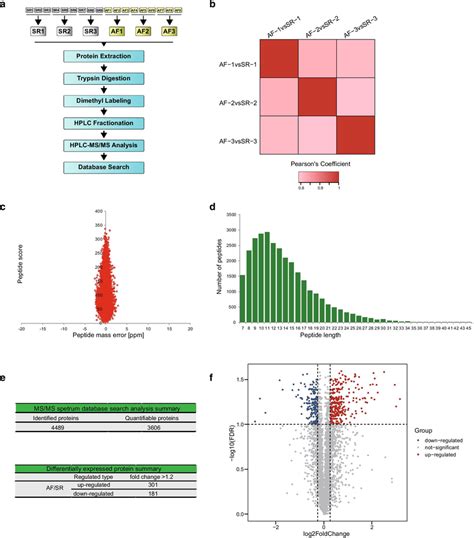 Quantitative Proteomic Analysis Of Af And Sr Tissue Samples A Download Scientific Diagram