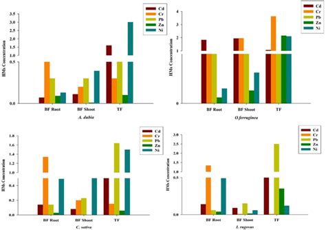 Represents BF And TF Values For Cd Cr Pb Zn And Ni In Medicinal