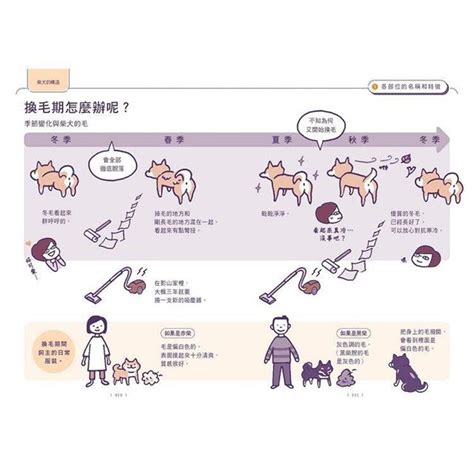 柴友必備跟柴柴心意相通的柴犬使用手冊從相處與飼養知識柴柴怪癖到有趣日常最療癒的萌犬指南獨家附贈全彩柴犬一生萌保證書金石堂