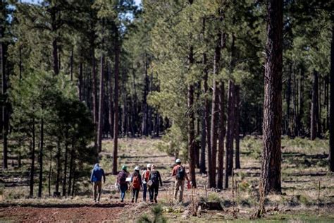 NAU Flagstaff receives its first Hispanic Serving Institution grant ...