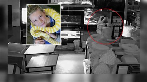 Thief Steals Worth Of Snakes From Sydney Pet Store