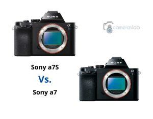 Sony a7RIII vs a7RIV - Why Sony a7R IV is Best Mirrorless Camera?