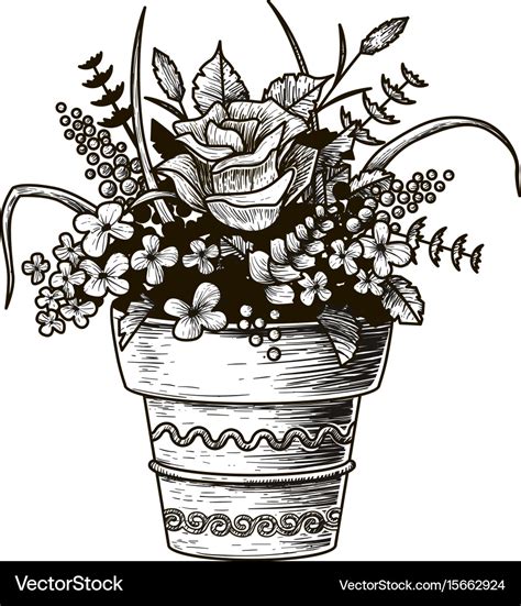 Flower Drawing In Pot