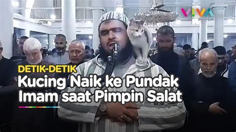 Sejuk Reaksi Imam Salat Tarawih Saat Kucing Loncat Dan Ciumi Dirinya