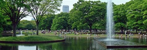 Yoyogi Park Heroes Of Adventure