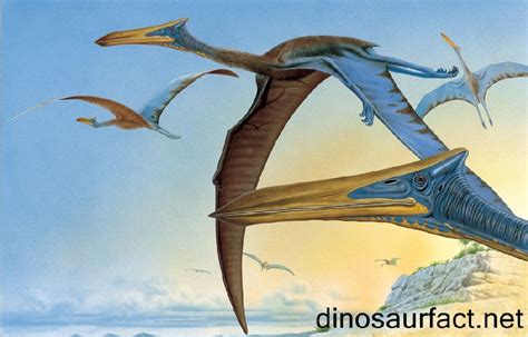 Quetzalcoatlus Pictures & Facts - The Dinosaur Database