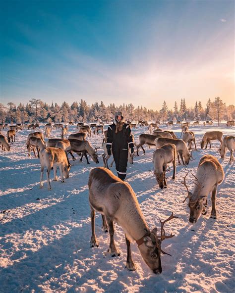 Finnish Lapland: The best travel tips & things to do - voyagefox in ...