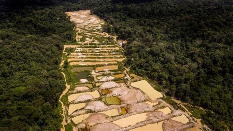 Abusos Da Minera O Ilegal De Ouro Na Amaz Nia Blog Do Jura