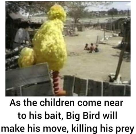 Big bird meme : teenagers