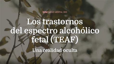 Los trastornos del espectro alcohólico fetal TEAF una realidad