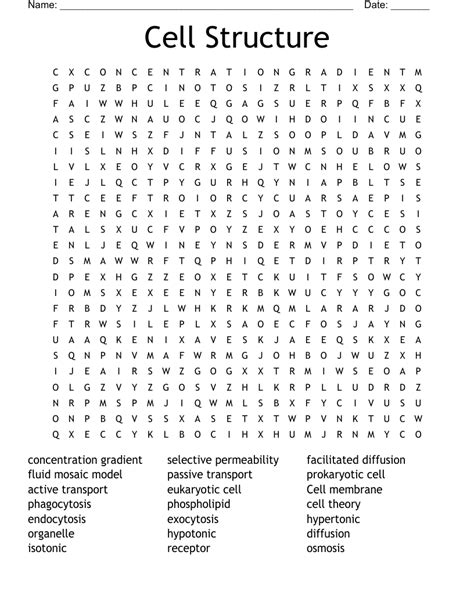 Cell Word Search