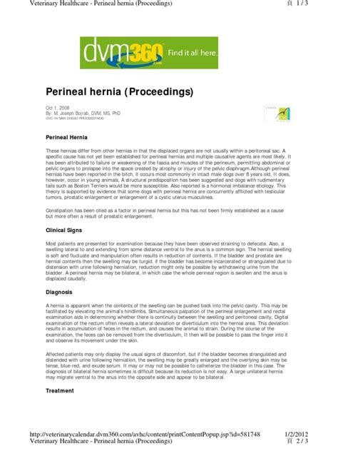 Perineal Hernia | PDF | Pelvis | Human Anatomy