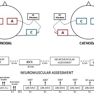 PDF Bilateral Extracephalic Transcranial Direct Current Stimulation