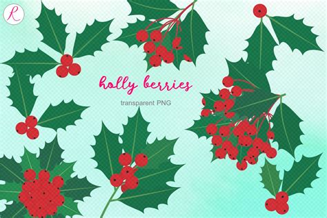 Holly Berries PNG Graphic by Rassamee Design · Creative Fabrica