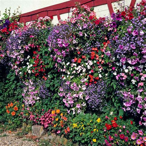 Flower Bed Ideas for the Front of Your House | Family Handyman