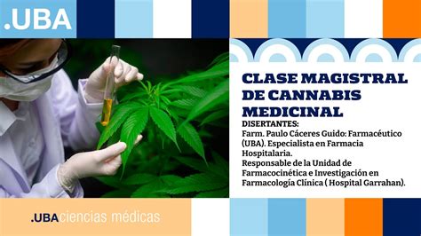 CLASE MAGISTRAL DE CANNABIS MEDICINAL YouTube