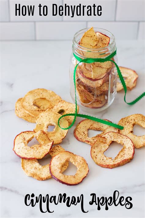 Dehydrated Cinnamon Apples Recipe Recipe Apple Cinnamon Recipes