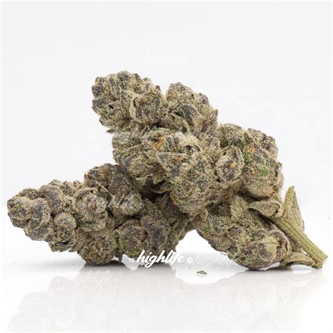 Purple Thunder: A Rare and Potent Sativa | Weed Delivery Ottawa