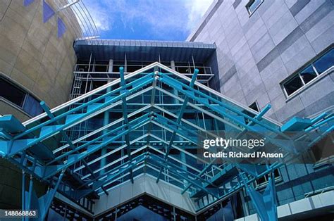 Te Papa National Museum Of New Zealand Photos And Premium High Res