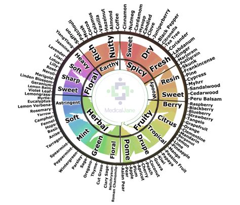 Terpenes in Cannabis: What are Terpenoids in Marijuana? - Greenly ...