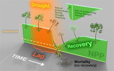 Drought Legacies – Carml